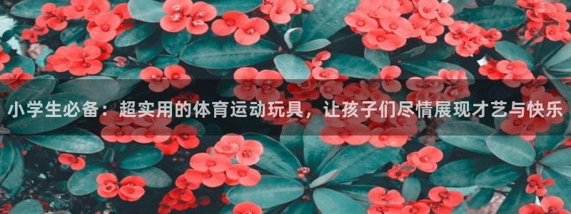 杏悦2凯捷平台