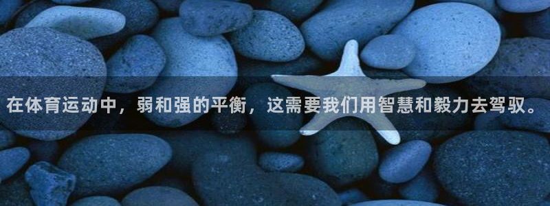 杏悦22官网