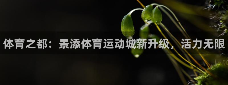 杏悦2包怎么样