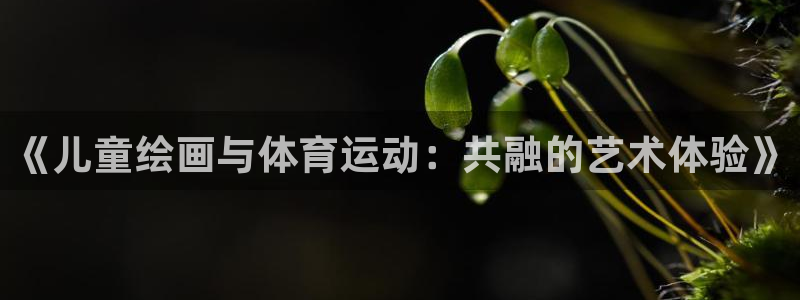 杏悦2体育凯捷平台注册