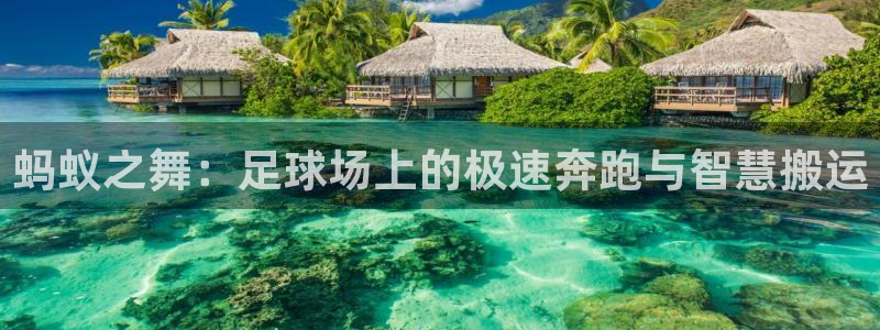 成都杏悦2电子有限公司
