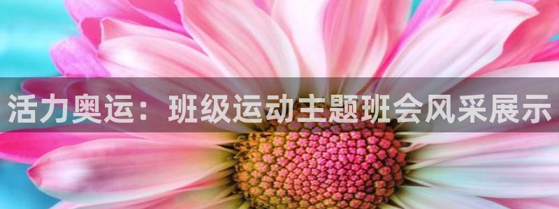 www.杏悦2体育.com
