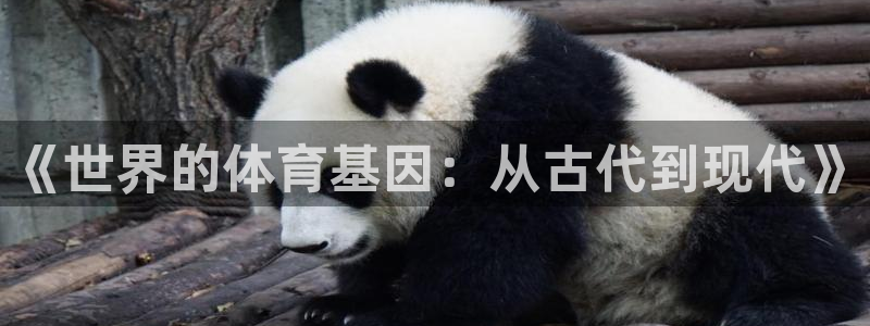 意昂集团股票