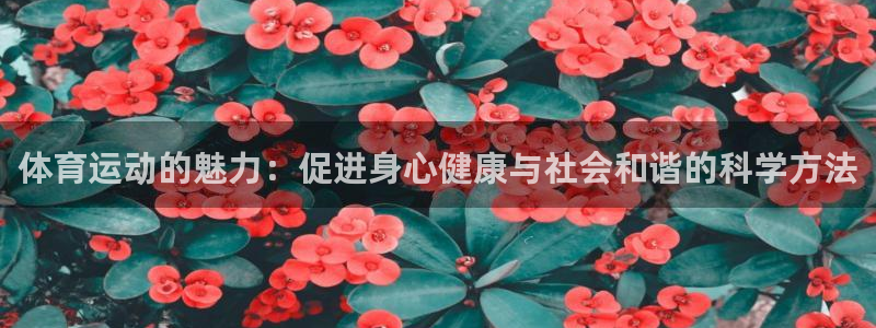 杏悦25招商