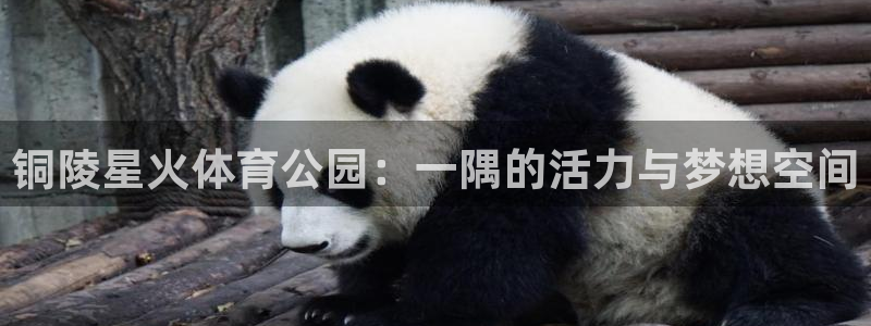 杏悦2体育免费注册入口