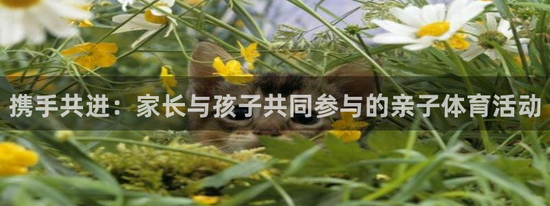 意昂5平台