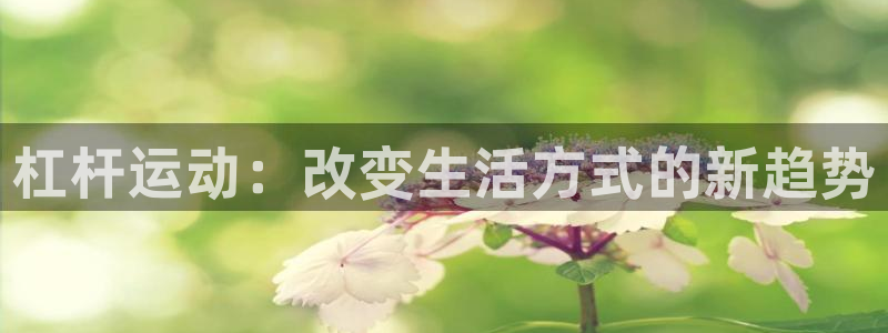 杏悦2体育代理申请流程