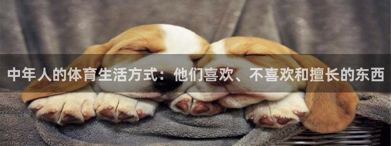 杏悦2集团官网