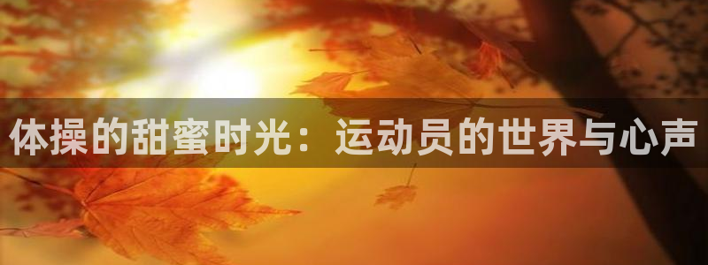杏悦22登录入口