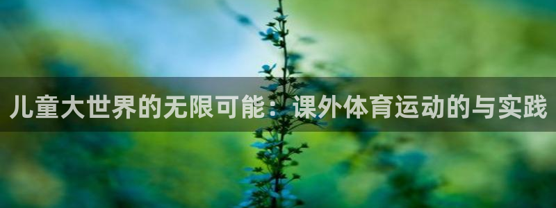 成都意昂电子有限公司