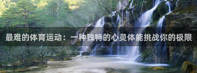 意昂总代